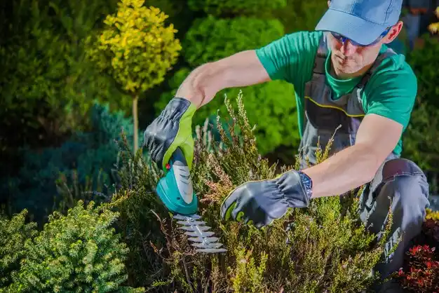 landscaping services South Valley Stream